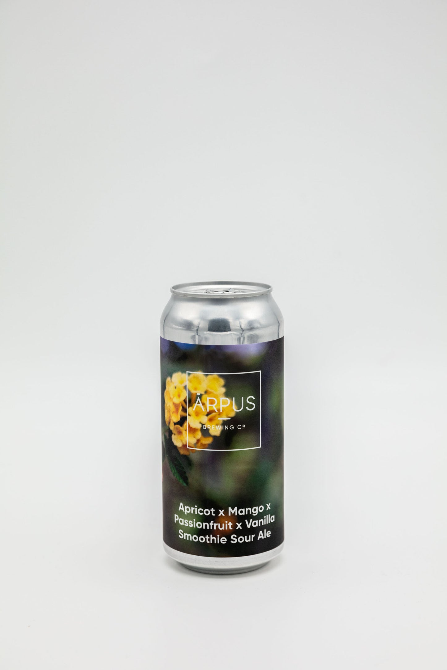 Apricot x Mango x Passionfruit x Vanilla Smoothie Sour Ale