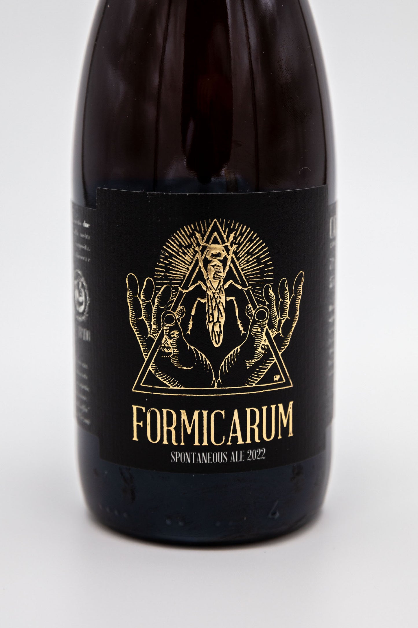 Formicarum