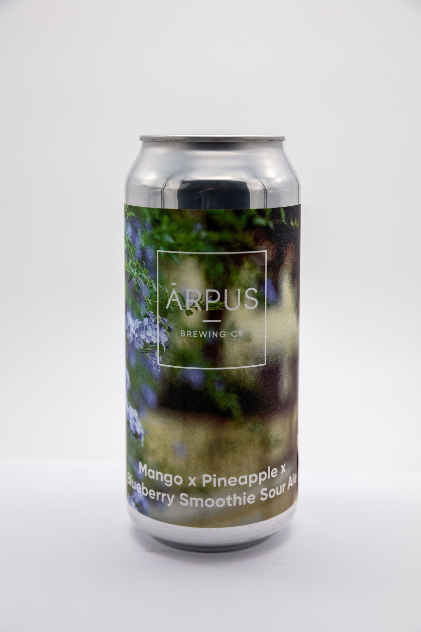 Mango x Pineapple x Blueberry Smoothie Sour Ale